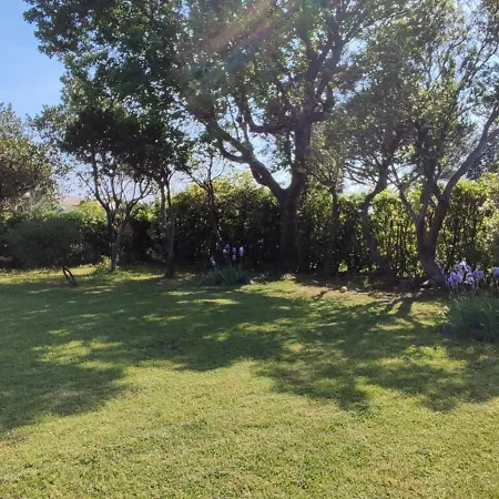 Quadrifoglio * 阿伦扎诺