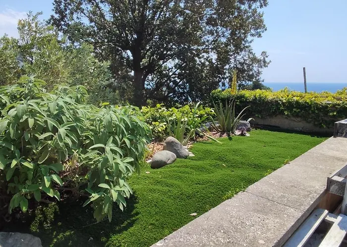 Quadrifoglio Arenzano